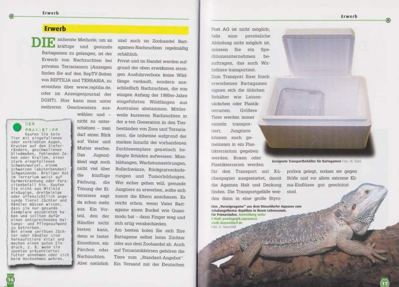 Preview: Die Bartagame